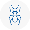 Ant Removals In Wakefield