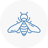 Bee Nest Removal Wakefield