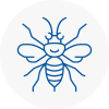 Wakefield Hornet Nest Removals